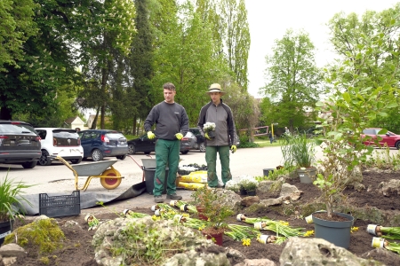 Gartenbau Ensdorf