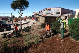 Auszubildende Gartenbau arbeiten auf Großbaustelle