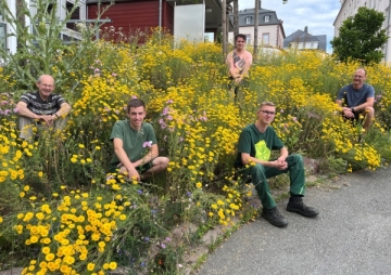 Blütenpracht