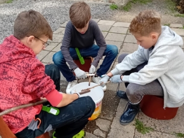 Wombats Familienwochenende