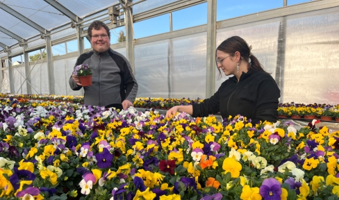 Ausbildungsgärtnerei DON BOSCO SACHSEN